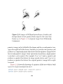 visit page 204